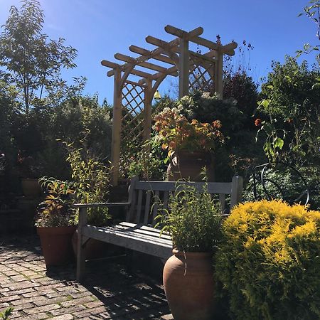 مبيت وإفطار هاستَنغ Anne'S House المظهر الخارجي الصورة